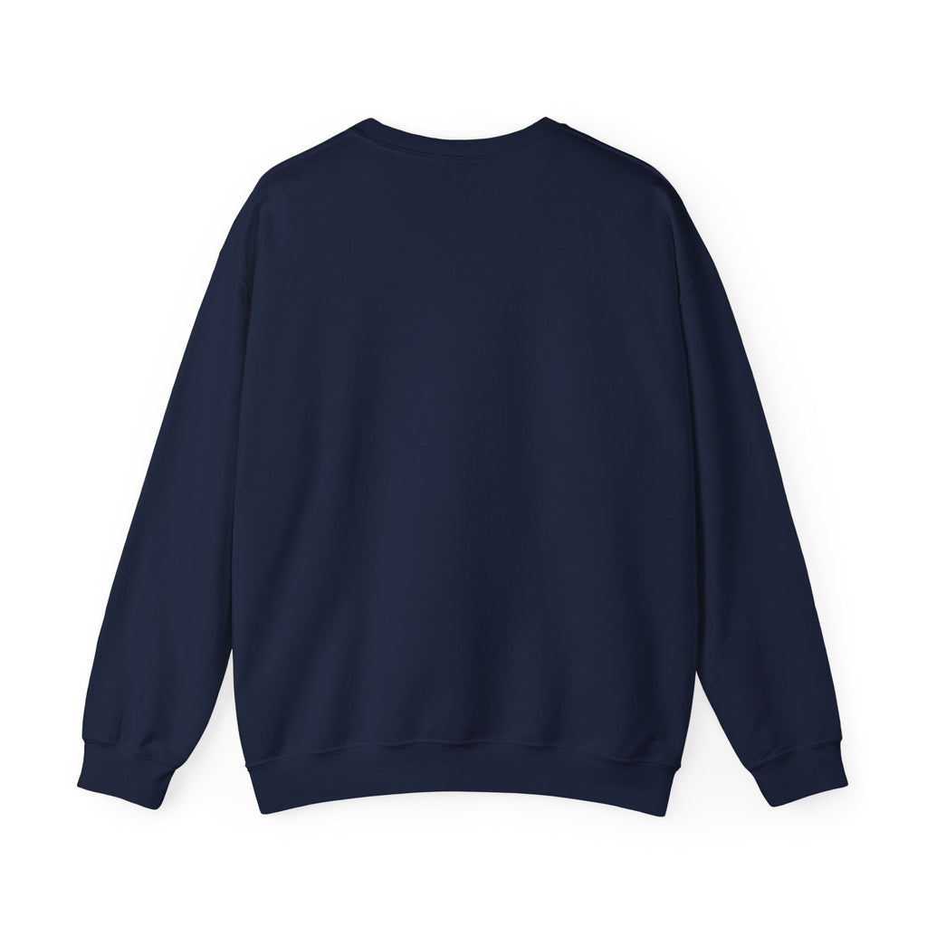 Coquette Ribbon Bow Sweatshirt