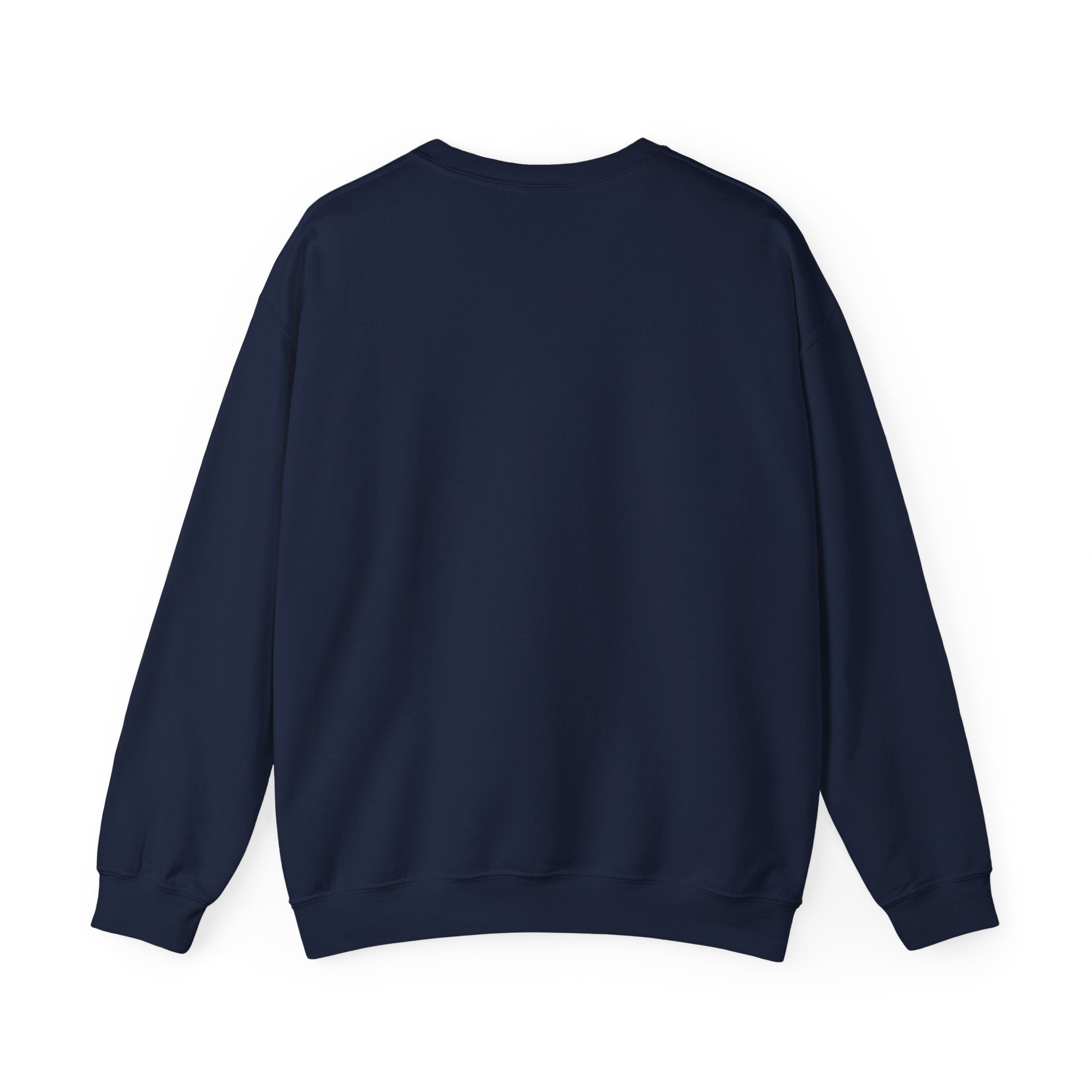 Coquette Ribbon Bow Sweatshirt