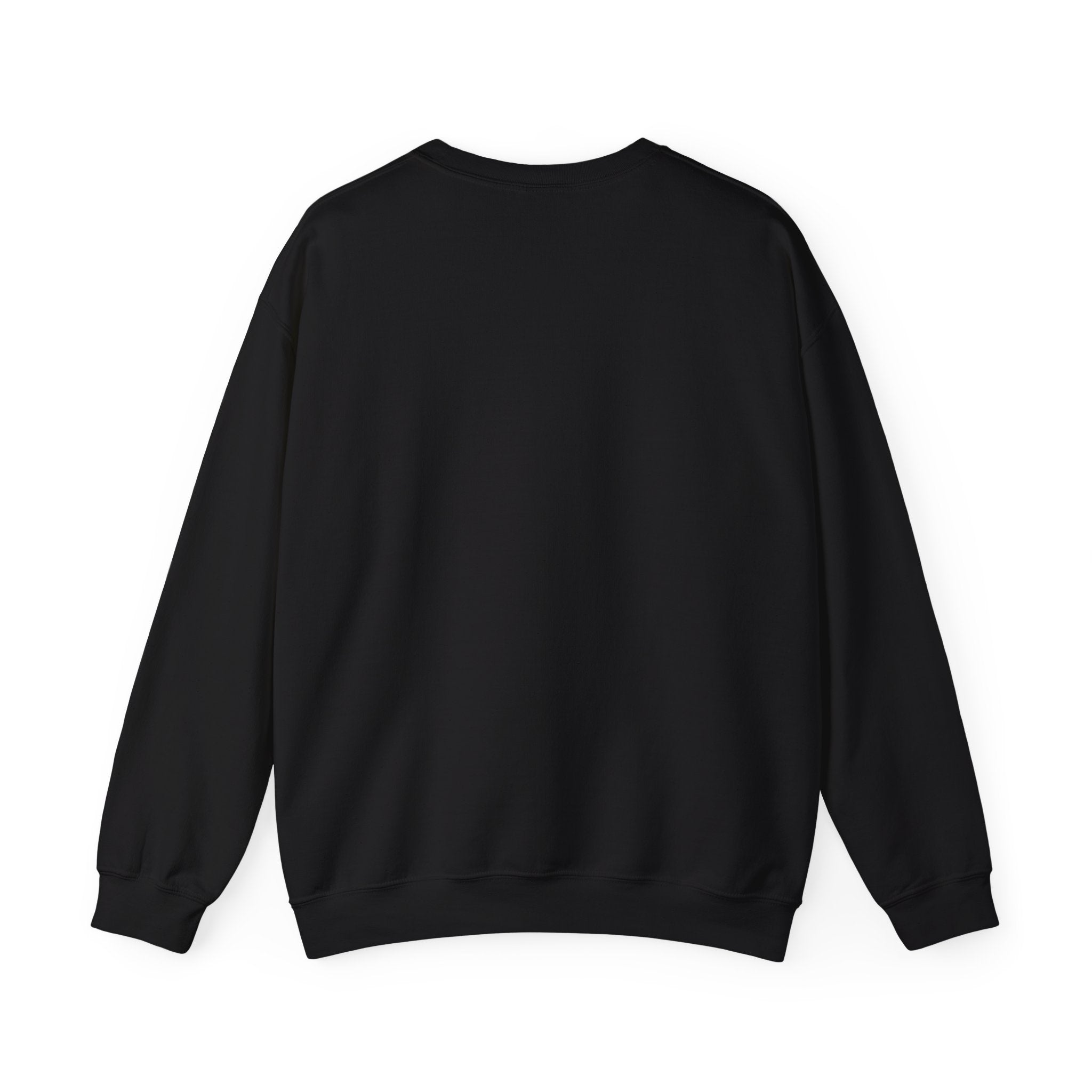 Coquette Ribbon Bow Sweatshirt