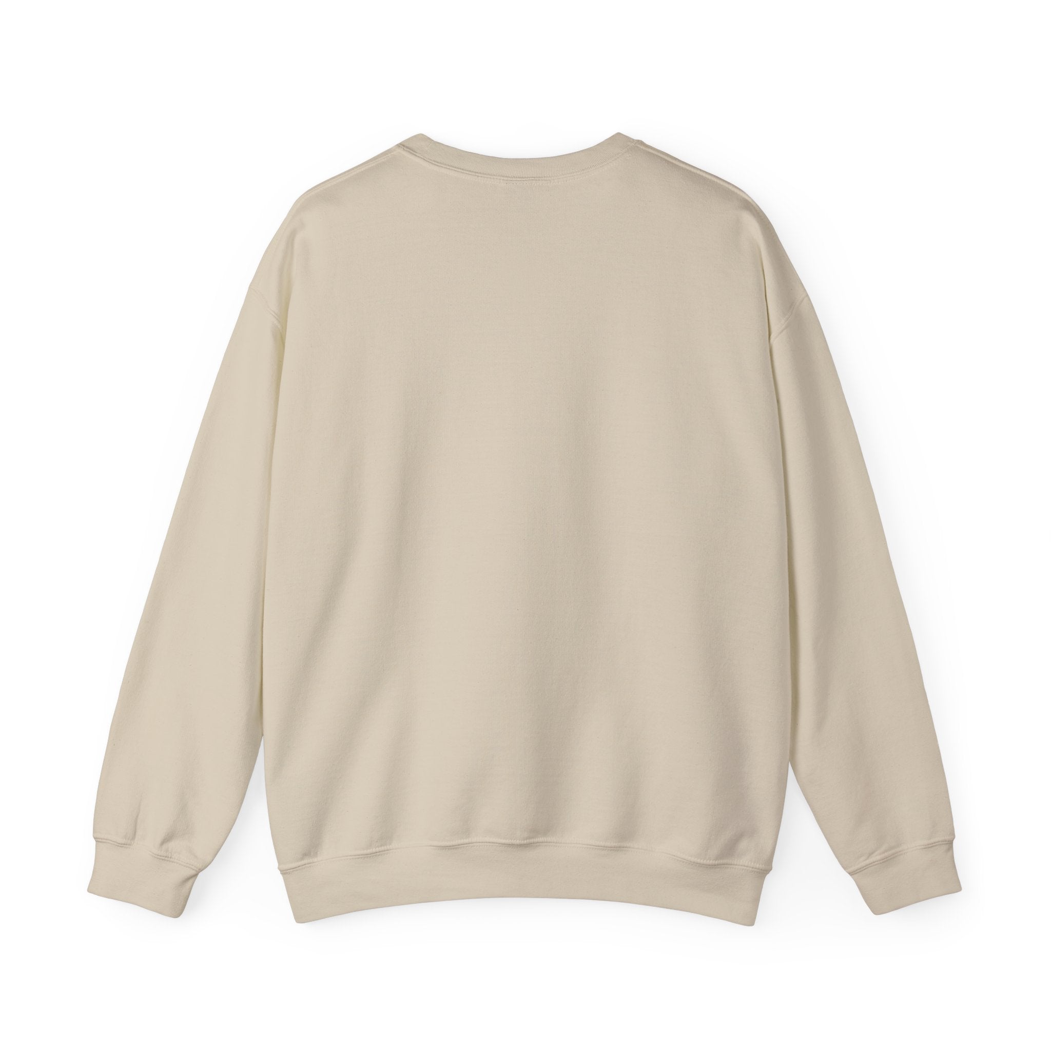 Coquette Ribbon Bow Sweatshirt