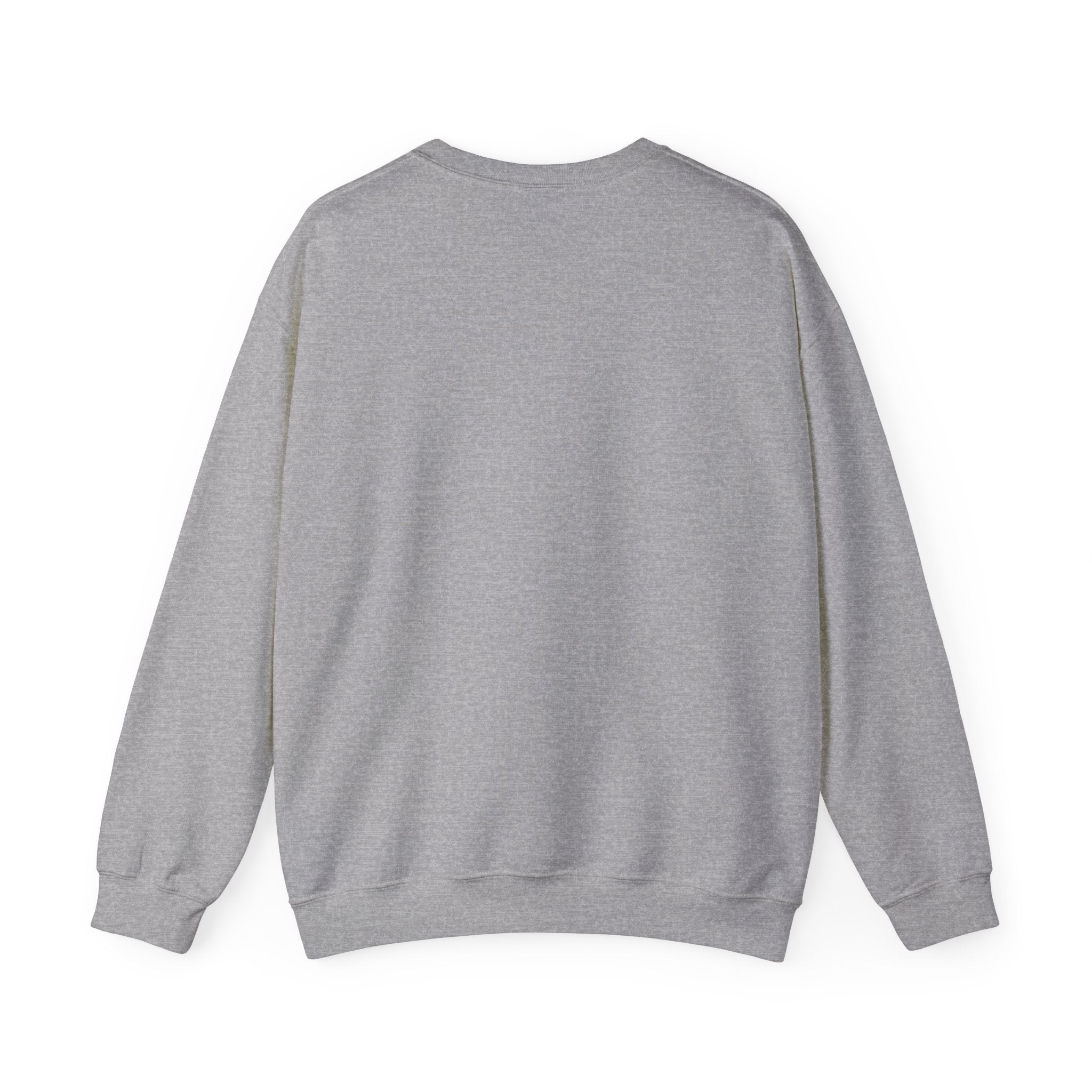 Coquette Ribbon Bow Sweatshirt